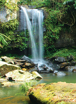 Featured Image Three